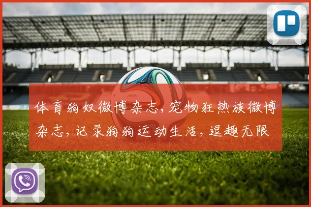 体育狗奴微博杂志,宠物狂热族微博杂志,记录狗狗运动生活,逗趣无限