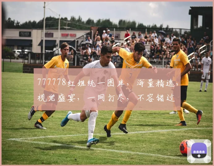 777778红姐统一图库，海量精选，视觉盛宴，一网打尽，不容错过